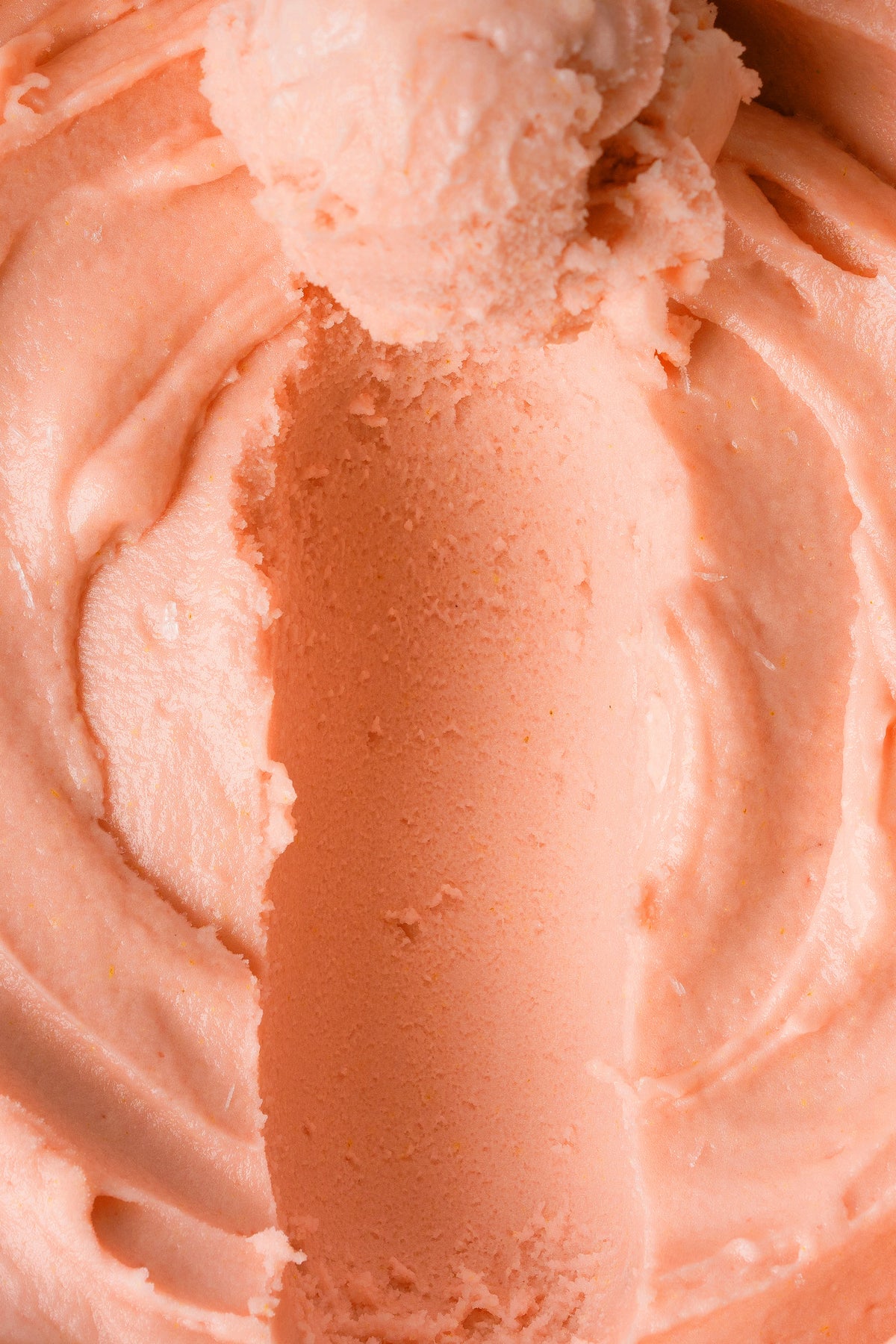 Blood Orange Sorbetto