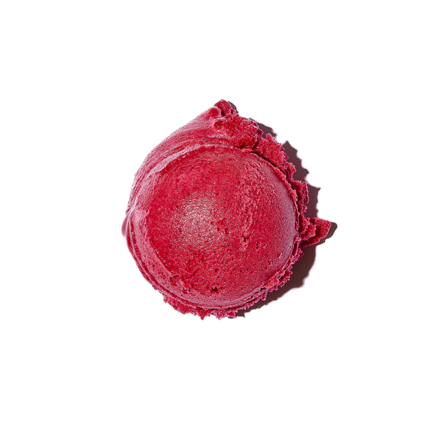 Blackcurrant Sorbetto