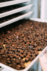 Belgian Brownie