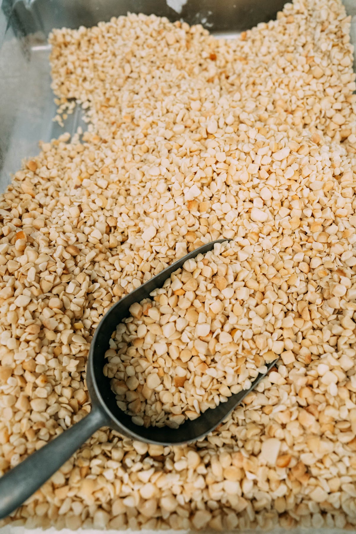 Maxadamia